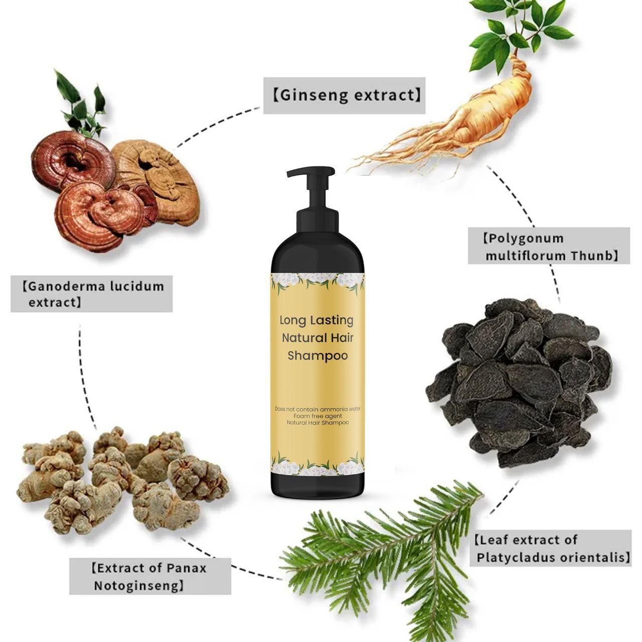 Hair Dye Shampoo (Buy 1 Get 1 Free)